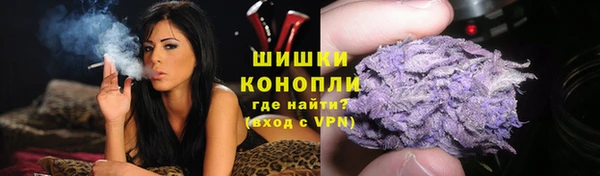 прущие крисы Каменногорск