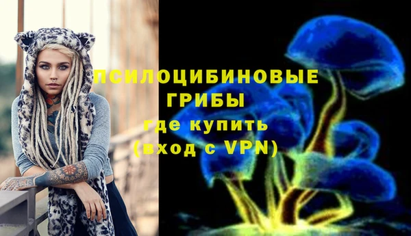 синтетический гашиш Каменск-Шахтинский